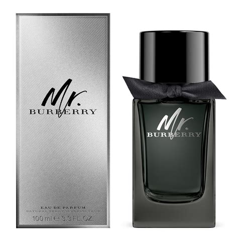 burberry mr burberry eau de parfum edp 100|mr burberry price.